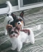 processed/402015d1-b050-4683-93b9-3ce7afd89eb0/facility/1b8c3637-da9f-4807-8e10-60aa43a64c55