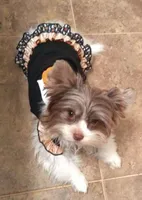 processed/402015d1-b050-4683-93b9-3ce7afd89eb0/facility/39e10136-bfff-44eb-80f1-fbc8e21ee361