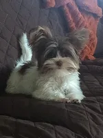 processed/402015d1-b050-4683-93b9-3ce7afd89eb0/facility/8f41efa9-ca38-4d97-9c81-af5e359b73f6