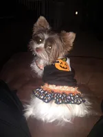 processed/402015d1-b050-4683-93b9-3ce7afd89eb0/facility/9bfe2940-74d0-457b-b713-f5e207178e81