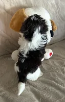 Streak, a male Yorkshire Terrier for sale in Bellevue, NE – 2 of 6
