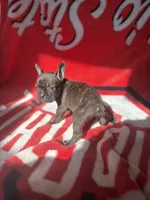 processed/40217ebb-db64-4cb7-a503-69d3f975e047/listing/6ef438bc-fe20-4e74-8d36-59a05d23651d/31196012-eb31-43b7-9870-b410a613517b