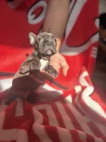 processed/40217ebb-db64-4cb7-a503-69d3f975e047/listing/6ef438bc-fe20-4e74-8d36-59a05d23651d/a5f009cc-dd75-42de-b990-f4f0644a934c