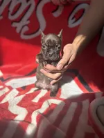 processed/40217ebb-db64-4cb7-a503-69d3f975e047/listing/6ef438bc-fe20-4e74-8d36-59a05d23651d/bfba0374-f306-47d0-8b67-baf61b118f5e