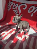 processed/40217ebb-db64-4cb7-a503-69d3f975e047/listing/6ef438bc-fe20-4e74-8d36-59a05d23651d/c4554a1d-bd33-4ce0-8d05-9882fda3a84f