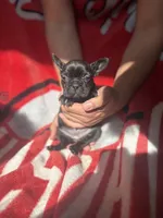 processed/40217ebb-db64-4cb7-a503-69d3f975e047/listing/cae55b14-8cf3-45cd-b50a-c05f88e7c9f7/6b5d2ba4-93ca-45f8-9bf3-07e48b01c8da