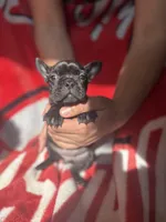 processed/40217ebb-db64-4cb7-a503-69d3f975e047/listing/cae55b14-8cf3-45cd-b50a-c05f88e7c9f7/81fc95a4-8835-4b20-9ca7-6664fa358fa6