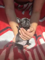 processed/40217ebb-db64-4cb7-a503-69d3f975e047/listing/cae55b14-8cf3-45cd-b50a-c05f88e7c9f7/9e66ab61-b4e4-4001-9ec9-a212b23f6099