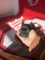 processed/40217ebb-db64-4cb7-a503-69d3f975e047/listing/cae55b14-8cf3-45cd-b50a-c05f88e7c9f7/e6b6030a-925f-4102-96cf-1130b3d7e9c9