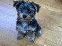 processed/40227ae9-06a2-460e-aede-aa87b5313ec3/facility/33427cfe-7214-4b90-bca9-b1d04df46bd7