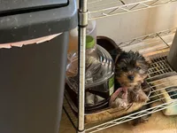 processed/40227ae9-06a2-460e-aede-aa87b5313ec3/facility/bf984add-5691-4e87-b525-12477a137a4a