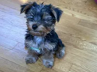 processed/40227ae9-06a2-460e-aede-aa87b5313ec3/facility/c5f04f69-4d47-4b45-bac8-874cc8104ea4