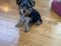 processed/40227ae9-06a2-460e-aede-aa87b5313ec3/facility/c661a72b-7bd1-4b0d-b24f-9fe204d13fbf