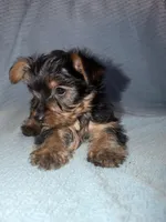 processed/40227ae9-06a2-460e-aede-aa87b5313ec3/listing/14af2a6d-af0b-4c66-8495-d188a58dce62/6481e0ae-f2db-4d87-a5ec-26a333cc8f1c