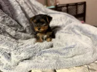 processed/40227ae9-06a2-460e-aede-aa87b5313ec3/listing/14af2a6d-af0b-4c66-8495-d188a58dce62/79d806c5-a1d9-4587-a660-fa381f606b1b