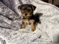 processed/40227ae9-06a2-460e-aede-aa87b5313ec3/listing/14af2a6d-af0b-4c66-8495-d188a58dce62/d6861c89-2757-4a36-80f2-9310a8b6fb1d