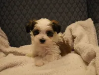 processed/402565ee-63c2-41db-8e33-763fda322ca9/listing/1008756b-9765-4962-b606-9e7109f3d38c/19d5c60a-9dcb-41bc-9465-89e09aafaf3b