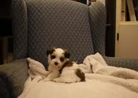 processed/402565ee-63c2-41db-8e33-763fda322ca9/listing/1008756b-9765-4962-b606-9e7109f3d38c/61f50cc2-563a-4b89-b31b-8fee30e15a32