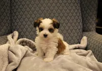 processed/402565ee-63c2-41db-8e33-763fda322ca9/listing/1008756b-9765-4962-b606-9e7109f3d38c/cf517e10-0aa6-4774-a4af-ecede7c5e5ea