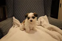 processed/402565ee-63c2-41db-8e33-763fda322ca9/listing/1008756b-9765-4962-b606-9e7109f3d38c/cfbcdd99-4488-4b07-8cb4-34e6b8d36152