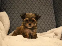 processed/402565ee-63c2-41db-8e33-763fda322ca9/listing/413894c6-2ed4-4e6d-b0ce-07d5098e5326/738cb4f6-aa0d-438e-8253-8aca059789c6