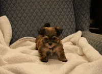 processed/402565ee-63c2-41db-8e33-763fda322ca9/listing/413894c6-2ed4-4e6d-b0ce-07d5098e5326/ee870e5f-1f9b-4835-9e93-9cd4b8491b75