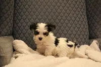 processed/402565ee-63c2-41db-8e33-763fda322ca9/listing/7d6c0663-0579-4af1-a612-5d3492e1c71e/26389815-a8ad-4a6f-9cfc-424cf87a0d54