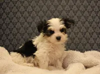 processed/402565ee-63c2-41db-8e33-763fda322ca9/listing/7d6c0663-0579-4af1-a612-5d3492e1c71e/30cab92f-7754-45df-98d8-ae3a83b44aaf