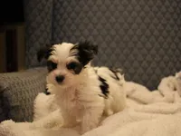 processed/402565ee-63c2-41db-8e33-763fda322ca9/listing/7d6c0663-0579-4af1-a612-5d3492e1c71e/43e13311-9542-4780-a10b-97b93d795cf5