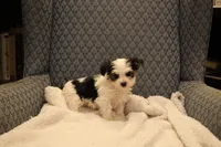 processed/402565ee-63c2-41db-8e33-763fda322ca9/listing/7d6c0663-0579-4af1-a612-5d3492e1c71e/474d7bcc-74d4-441a-a213-08ec3d46be8c