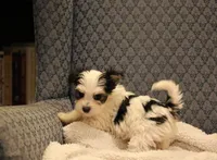 processed/402565ee-63c2-41db-8e33-763fda322ca9/listing/7d6c0663-0579-4af1-a612-5d3492e1c71e/9732b252-1171-4d91-808a-4a08cc5177d9