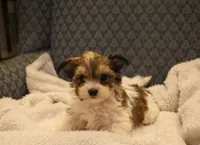 processed/402565ee-63c2-41db-8e33-763fda322ca9/listing/b8559ace-d26c-449d-83f0-4a504a907f59/1355b9db-1cd5-499a-b926-a88924aacb1e