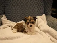 processed/402565ee-63c2-41db-8e33-763fda322ca9/listing/b8559ace-d26c-449d-83f0-4a504a907f59/a14a5cb6-2d73-4f26-a652-b5718ce68e8d