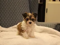 processed/402565ee-63c2-41db-8e33-763fda322ca9/listing/b8559ace-d26c-449d-83f0-4a504a907f59/b19535e1-33cc-4c89-92b8-25d33f58eebb