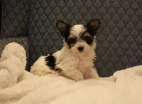 processed/402565ee-63c2-41db-8e33-763fda322ca9/listing/bda33a49-8121-43e9-9399-4489ae33b4a1/16a167a4-9602-4a85-95f1-7f41f1cc9c9e