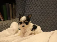 processed/402565ee-63c2-41db-8e33-763fda322ca9/listing/bda33a49-8121-43e9-9399-4489ae33b4a1/840cf0cd-069e-4a6d-954b-9788d68207fc