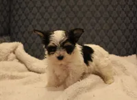 processed/402565ee-63c2-41db-8e33-763fda322ca9/listing/bda33a49-8121-43e9-9399-4489ae33b4a1/983549f3-372b-46bf-8aca-e184d913e379