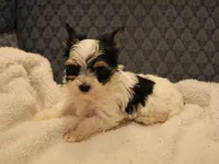 processed/402565ee-63c2-41db-8e33-763fda322ca9/listing/bda33a49-8121-43e9-9399-4489ae33b4a1/bfff392d-8801-4117-bfaa-a43c5a9fd6e5