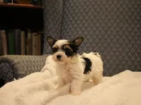 processed/402565ee-63c2-41db-8e33-763fda322ca9/listing/bda33a49-8121-43e9-9399-4489ae33b4a1/c0d3a48c-e287-4ea5-b521-299069a7dd1e