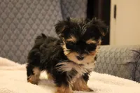 processed/402565ee-63c2-41db-8e33-763fda322ca9/listing/dc074cd7-7b39-48ca-8bf3-a694f15d6209/2badd2d1-c4b2-4083-b736-86799f6fa5c8