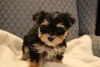 processed/402565ee-63c2-41db-8e33-763fda322ca9/listing/dc074cd7-7b39-48ca-8bf3-a694f15d6209/6343b7e6-380e-4307-9403-351fa843448b