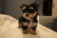 processed/402565ee-63c2-41db-8e33-763fda322ca9/listing/dc074cd7-7b39-48ca-8bf3-a694f15d6209/a896a6f4-2379-4a6d-ad89-31ad52381a39