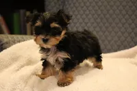 processed/402565ee-63c2-41db-8e33-763fda322ca9/listing/dc074cd7-7b39-48ca-8bf3-a694f15d6209/dfb07974-12b1-45a3-aa0a-0de9eb8b8e26