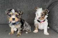 processed/402f1e4b-47e5-470b-b9cb-4f4ae7581a5d/facility/d0a58a66-19b7-45af-b187-e8f946d2af1a