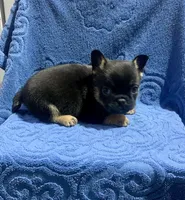 processed/402f1e4b-47e5-470b-b9cb-4f4ae7581a5d/listing/4cc451c2-4b47-4128-a705-bba6bbb80a68/72491bc2-8e77-4a18-8b67-a11cf5cdf43c