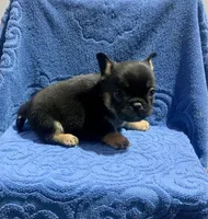 processed/402f1e4b-47e5-470b-b9cb-4f4ae7581a5d/listing/4cc451c2-4b47-4128-a705-bba6bbb80a68/d85c850d-110f-4962-b0da-c71da90646d3