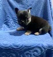 processed/402f1e4b-47e5-470b-b9cb-4f4ae7581a5d/listing/4cc451c2-4b47-4128-a705-bba6bbb80a68/f5b58876-6df3-4c8a-b6b4-e7e83b6b9f33