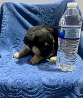 processed/402f1e4b-47e5-470b-b9cb-4f4ae7581a5d/listing/d1929328-57ab-4d65-8292-f4dc1a59d131/290b1a89-57ff-4739-b595-250ce525bcac