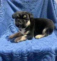 processed/402f1e4b-47e5-470b-b9cb-4f4ae7581a5d/listing/d1929328-57ab-4d65-8292-f4dc1a59d131/692bbfa7-8079-4093-a415-c52f8bb9db55