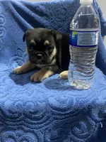 processed/402f1e4b-47e5-470b-b9cb-4f4ae7581a5d/listing/d1929328-57ab-4d65-8292-f4dc1a59d131/ecb19c01-489e-42d2-a2b5-552008af9ce6